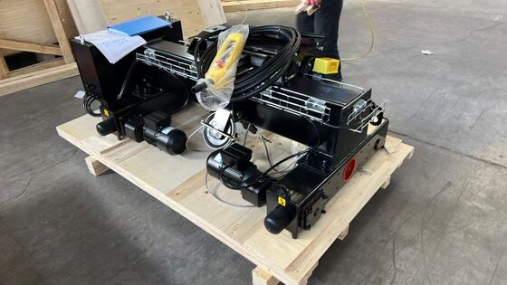 Top Selling Double Girder 3ton 5ton 6ton 8ton 20 Ton 9m European Electric Hoist for Factory