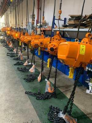 High Strength Electric Chain Hoist with 2 Falls and 50/60Hz Power Supply for Industrial Lifting